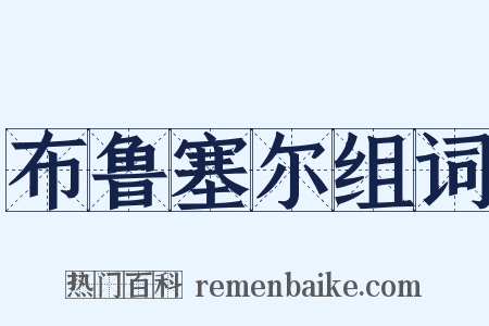 布鲁塞尔组词是什么意思的图片